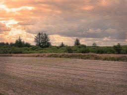 IMGP6172-1_Brandbaelte